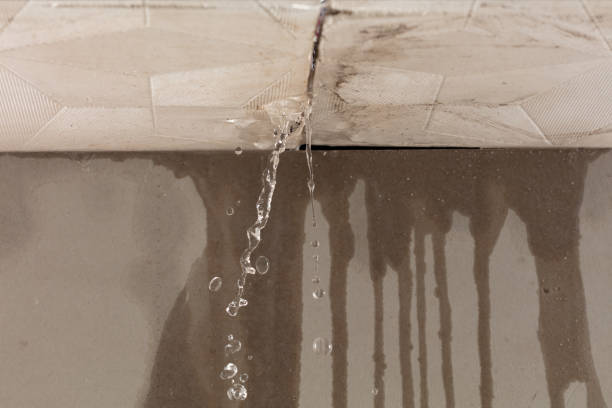 Professional Sewage Cleanup technician working in Thorn Hill, TN